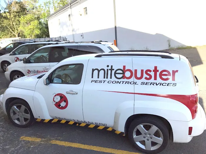 MiteBuster BedBug & Pest Control Picture 1