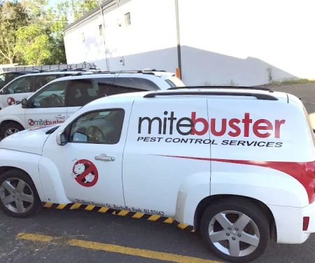 MiteBuster BedBug & Pest Control