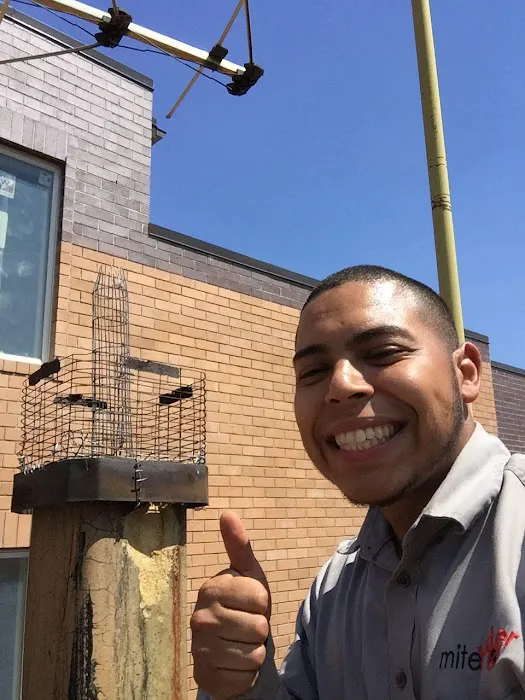 MiteBuster BedBug & Pest Control Picture 4