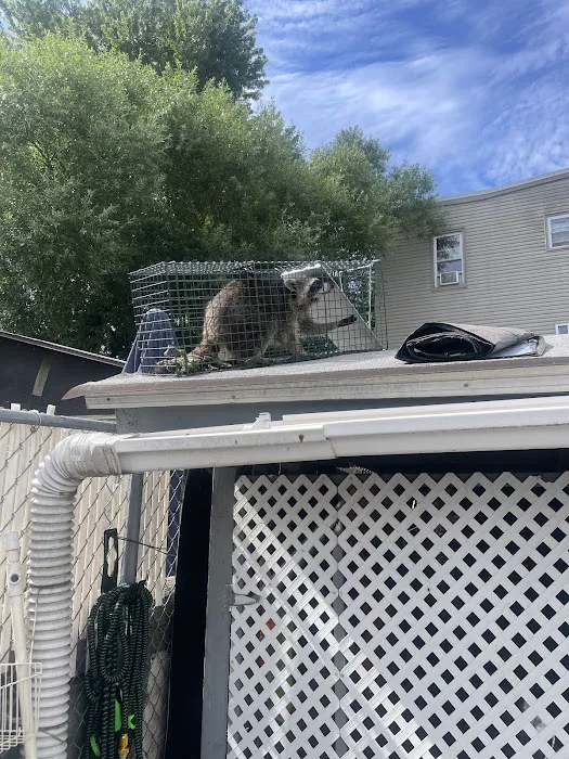 A&R Pest Patrol Picture 4