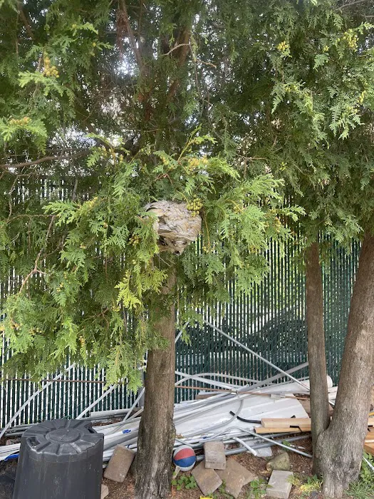 A&R Pest Patrol Picture 6