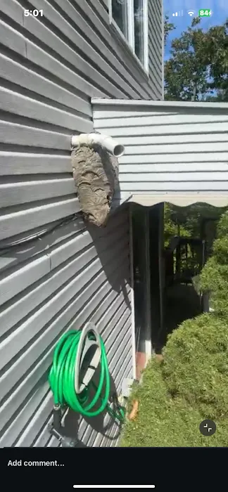 A&R Pest Patrol Picture 5