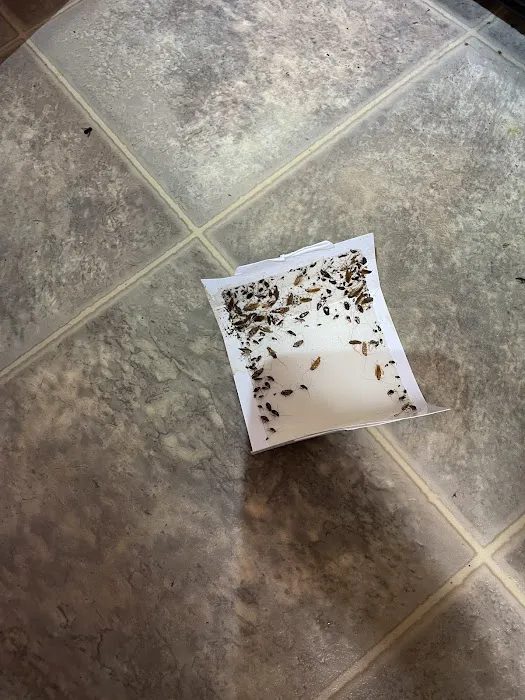 A&R Pest Patrol Picture 2