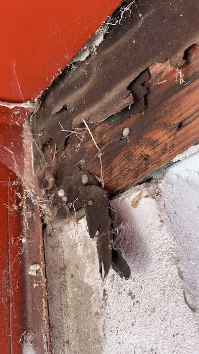 A&R Pest Patrol Picture 1