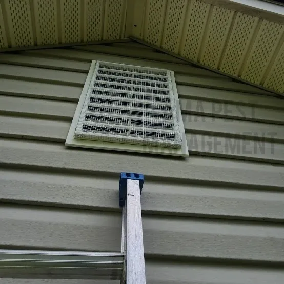 AMA Pest and Wildlife Control Picture 5