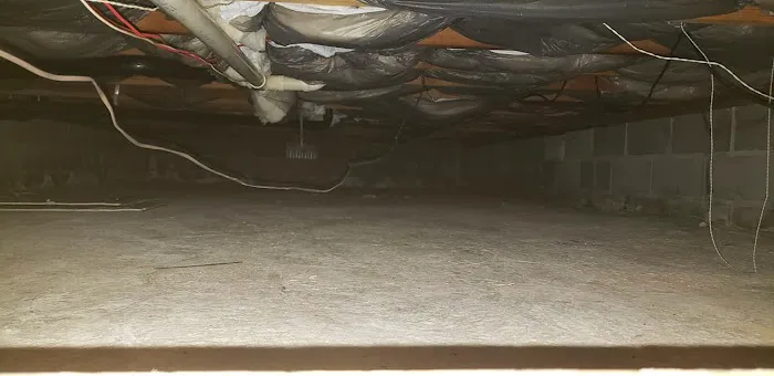 AMA Pest and Wildlife Control Picture 7