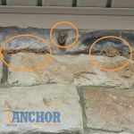Anchor Pest Control
