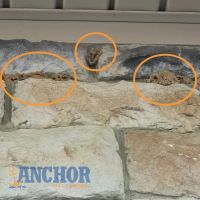 Anchor Pest Control ico