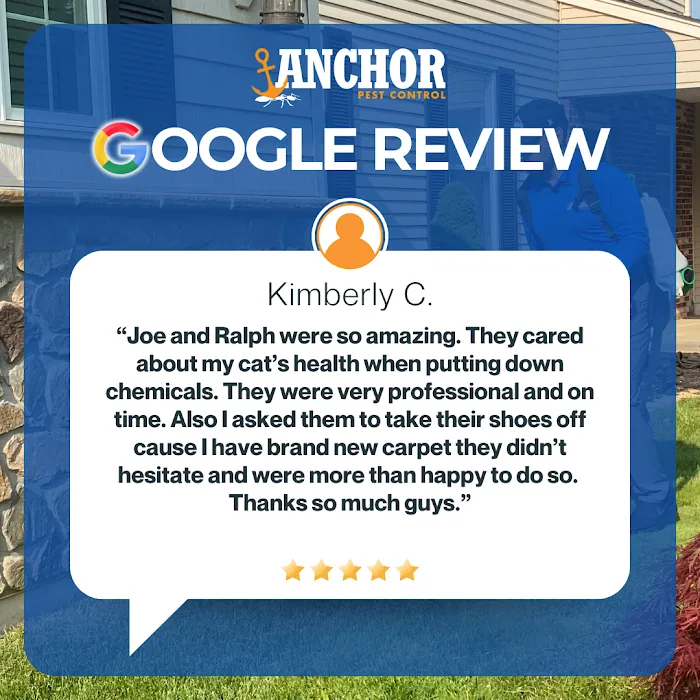 Anchor Pest Control Picture 5