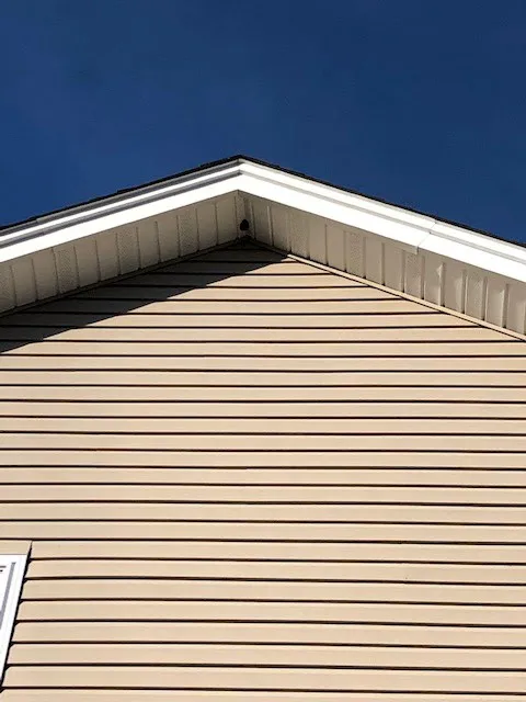 All Natural Pest Control Solutions Picture 8