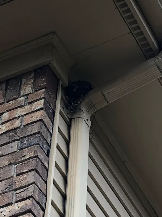 All Natural Pest Control Solutions Picture 4