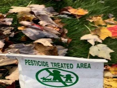 All Natural Pest Control Solutions Picture 7