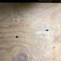 All Natural Pest Control Solutions ico