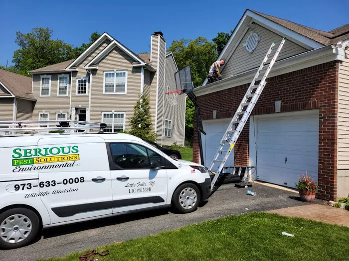 Serious Pest Solutions Environmental LLC Picture 4