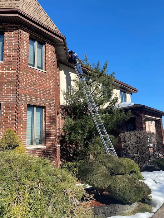 Above and Beyond Pest Control Picture 4