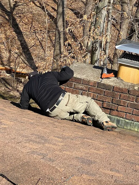 Above and Beyond Pest Control Picture 2