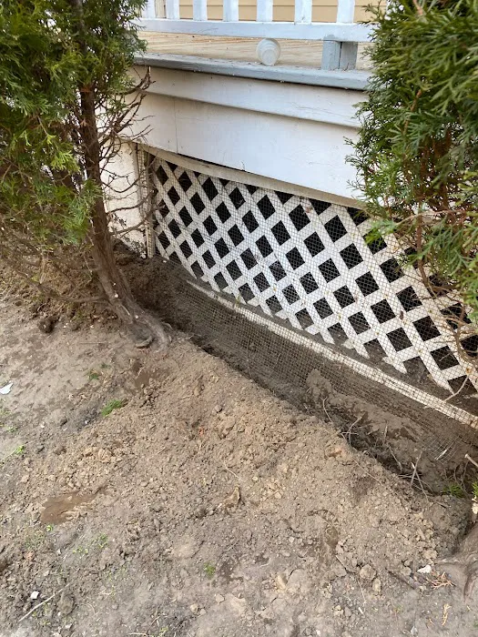 Above and Beyond Pest Control Picture 5