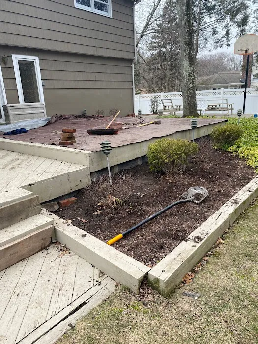 Above and Beyond Pest Control Picture 1