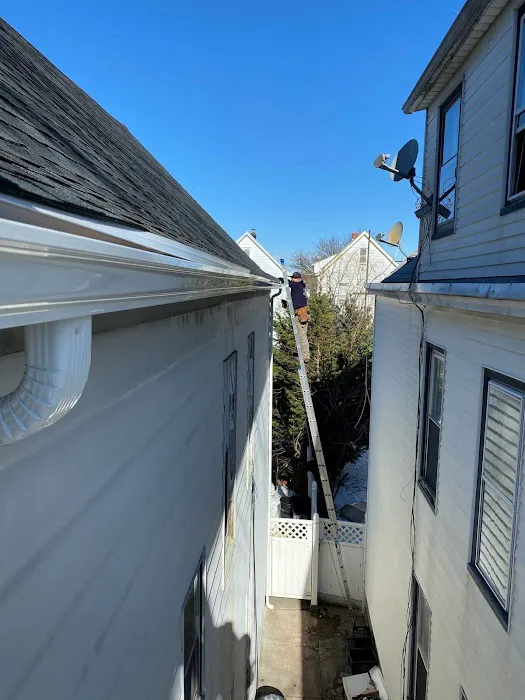 Above and Beyond Pest Control Picture 8