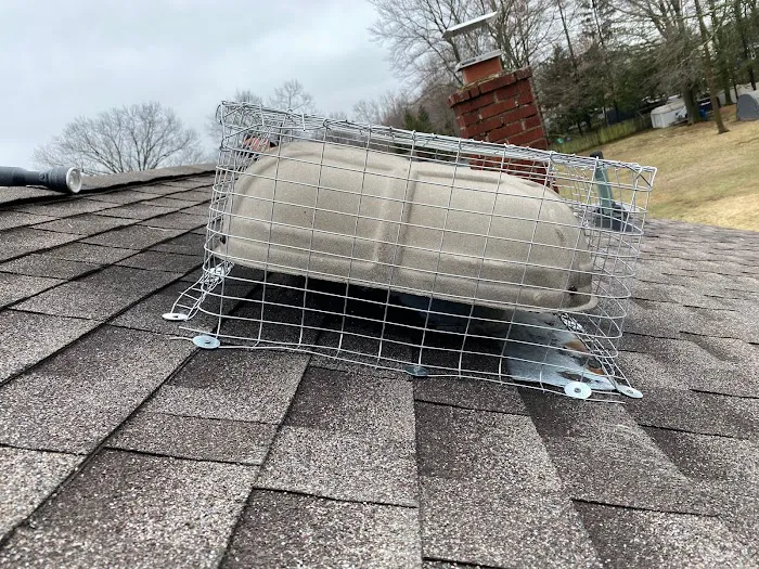 Above and Beyond Pest Control Picture 7