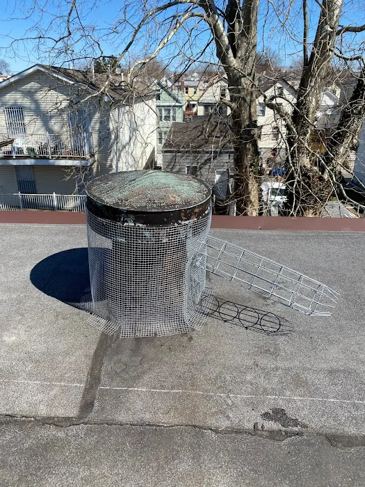 Above and Beyond Pest Control Picture 9