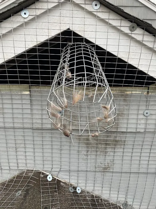 Above and Beyond Pest Control Picture 10