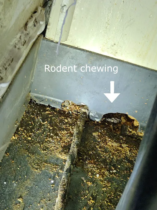 Inspect Pest Control Picture 10