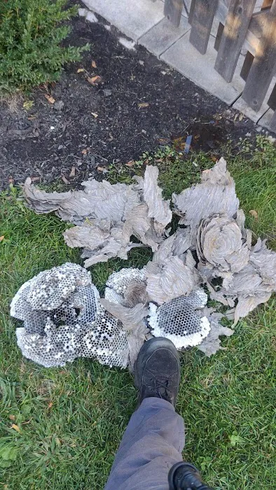 Inspect Pest Control Picture 6