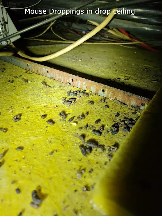 Inspect Pest Control Picture 9