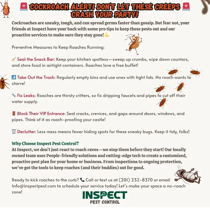 Inspect Pest Control Picture 4