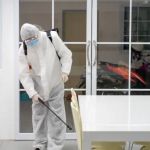 Reliable Pest Control Paterson Crew