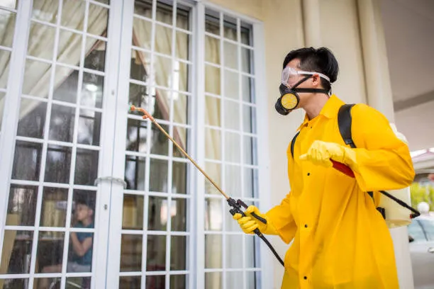 Reliable Pest Control Paterson Crew Picture 3