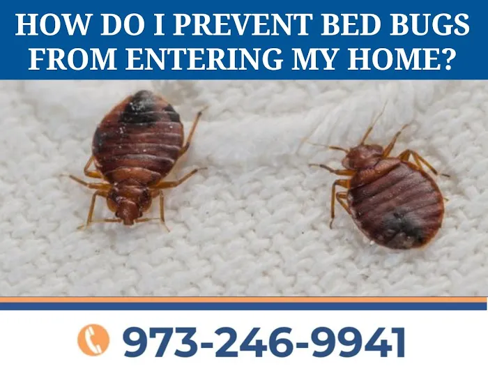 Act Pest Control Picture 1