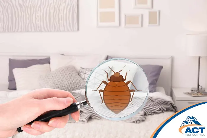 Act Pest Control Picture 6