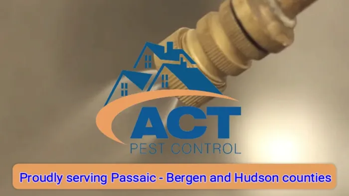 Act Pest Control Picture 2