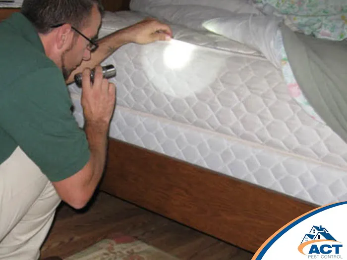 Act Pest Control Picture 3