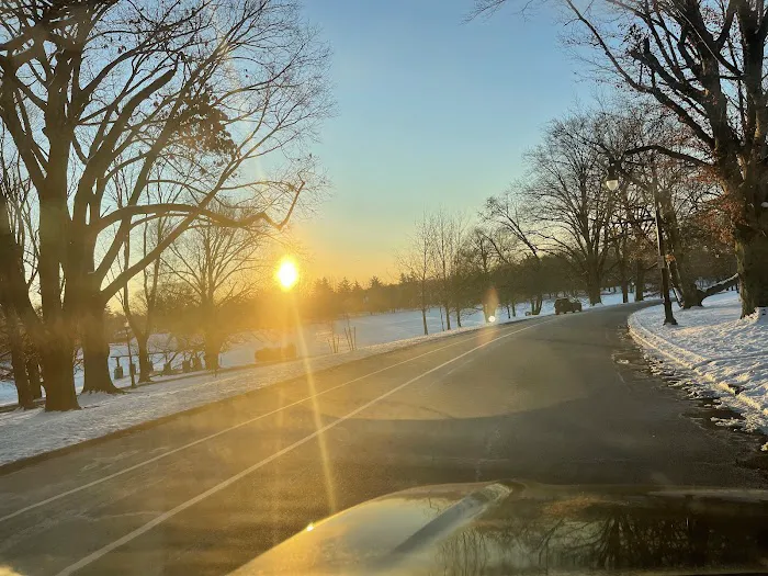 Western Pest Services Picture 2