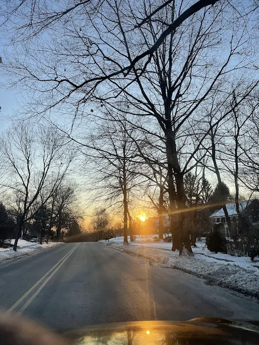 Western Pest Services Picture 8