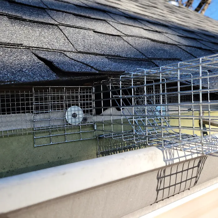 Wrigley's BusyBee Termite & Pest Control Picture 4