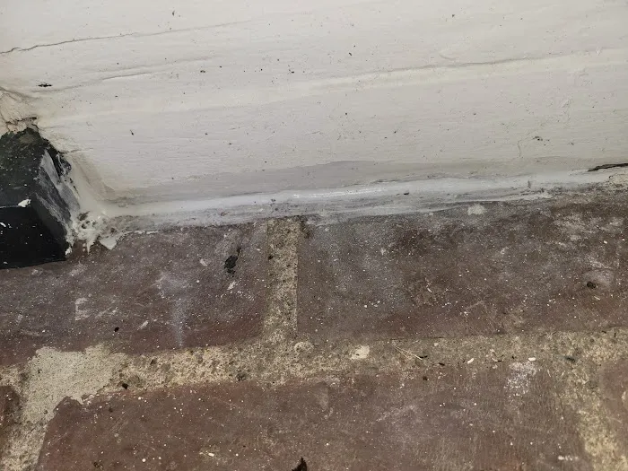 Wrigley's BusyBee Termite & Pest Control Picture 9