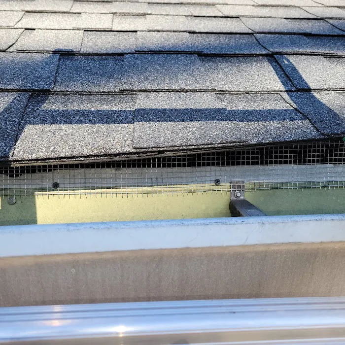 Wrigley's BusyBee Termite & Pest Control Picture 8