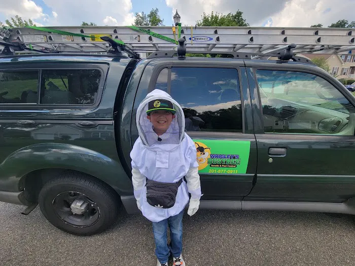 Wrigley's BusyBee Termite & Pest Control Picture 7