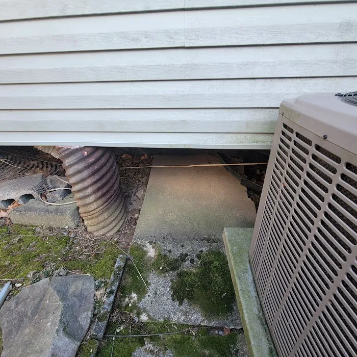 Wrigley's BusyBee Termite & Pest Control Picture 3