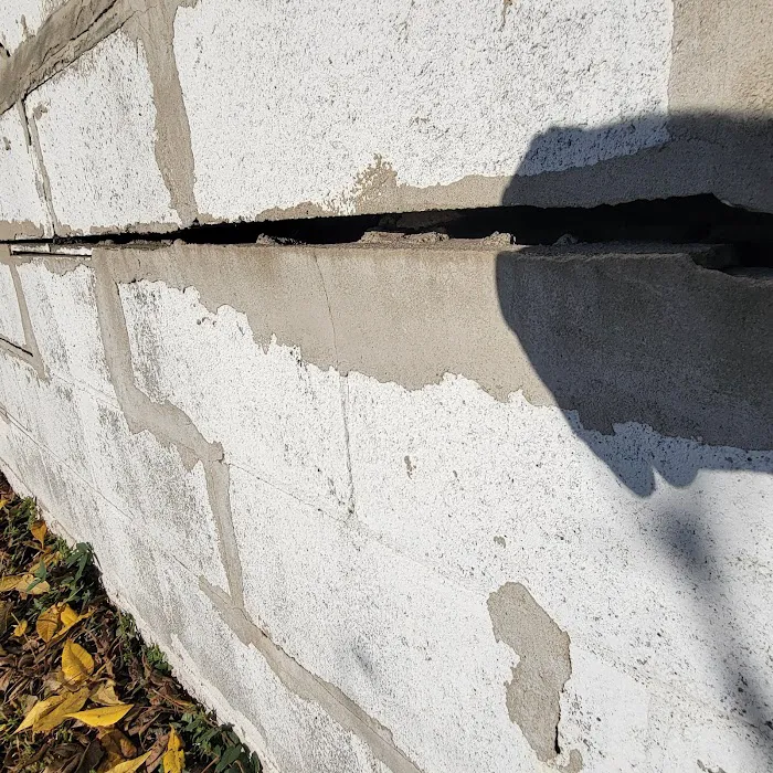 Wrigley's BusyBee Termite & Pest Control Picture 1