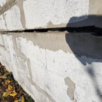 Wrigley's BusyBee Termite & Pest Control ico