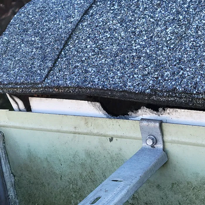 Wrigley's BusyBee Termite & Pest Control Picture 6