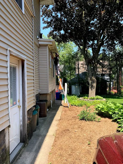 Reliable pest and animal control Picture 2