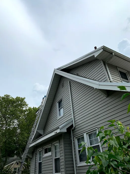 Reliable pest and animal control Picture 8