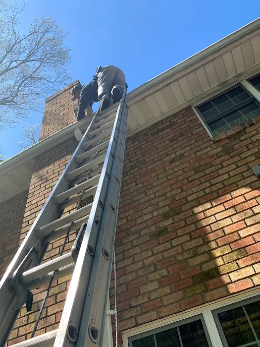 Reliable pest and animal control Picture 3