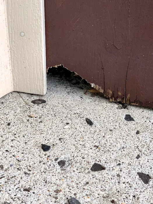 Reliable pest and animal control Picture 10